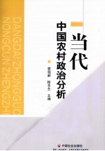 当代中国农村政治分析