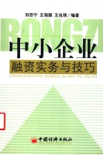 中小企业融资实务与技巧