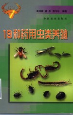 19种药用虫类养殖