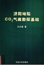 济阳坳陷CO2气藏勘探基础