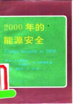 2000年的能源安全