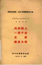 向阳路上  一笔千金  支援  终身大事