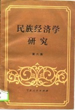 民族经济学研究  第6集  关于发展少数民族地区经济与对外开放专辑