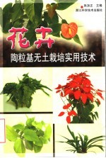 花卉陶粒基无土栽培实用技术