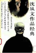 沈从文作品经典  第3卷