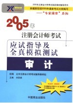 2005年注册会计师考试应试指导及全真模拟测试  审计