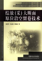 综放（采）大断面原位沿空留巷技术