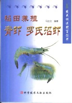 稻田养殖青虾  罗氏沼虾
