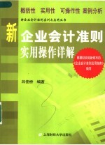 新企业会计准则实用操作详解