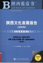 陕西文化发展报告  2009