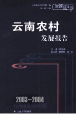 2003-2004云南农村发展报告