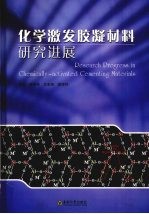 化学激发胶凝材料研究进展  全国第一届化学激发胶凝材料研讨会论文集  2004