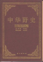 中华野史  宋朝卷  1-3