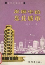 发展中的东北城市