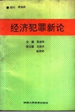 经济犯罪新论