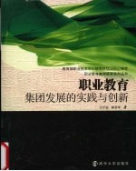 职业教育集团发展的实践与创新