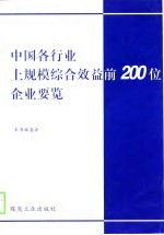 中国各行业上规模综合效益前200位企业要览