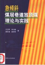 急倾斜煤层巷道放顶煤理论与实践