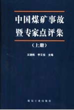 中国煤矿事故暨专家点评集  上