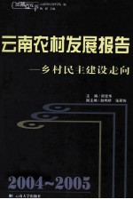 2004-2005云南农村发展报告  乡村民主建设走向