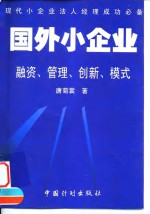 国外小企业  融资、管理、创新、模式