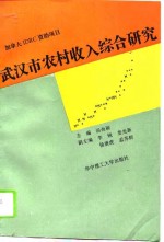 武汉市农村收入综合研究