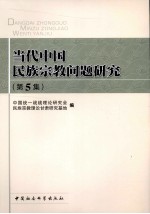 当代中国民族宗教问题研究  第5集