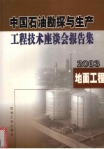 中国石油勘探与生产工程技术座谈会报告集  2003  地面工程