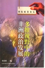 多维视野中的非洲政治发展