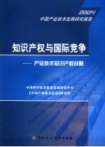 知识产权与国际竞争：产业技术知识产权战略  中国产业技术发展研究报告2004