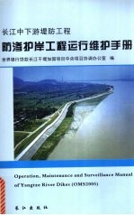 长江中下游堤防工程防渗护岸工程运行维护手册  隐蔽工程部分