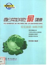 圆白菜如何吃最健康  净化血液、祛除万病