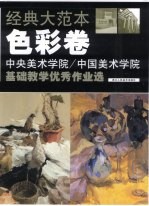 经典大范本  色彩卷  中央美术学院/中国美术学院基础教学优秀作业选