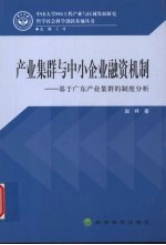 产业集群与中小企业融资机制  基于广东产业集群的制度分析