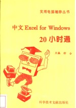 中文Excel for Windows 20小时通