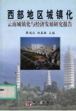 西部地区城镇化  云南城镇化与经济发展研究报告