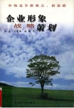 市场竞争新视点、新思路  企业形象战略策划