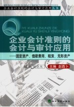 企业会计准则的会计与审计应用  固定资产、借款费用、租赁、无形资产