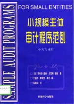 小规模主体审计程序范例  中英文对照