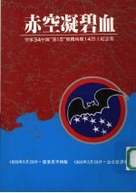 赤空凝碧血  空军34中队“815”号机殉职14烈士纪念集