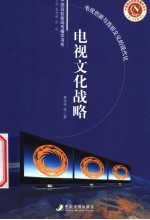 电视文化战略  电视创新与西部文化的现代化