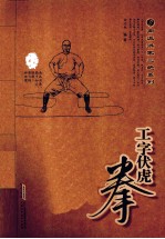 工字伏虎拳  经典珍藏版