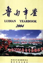 鲁甸年鉴  2004