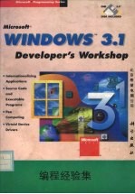 Microsoft专家Windows3.1编程经验集