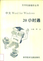 中文Word for Windows20小时通