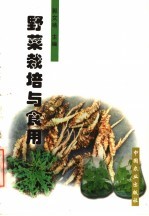 野菜栽培与食用