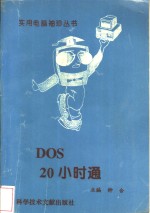 DOS 20小时通