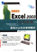 中文版Excel 2003公司管理