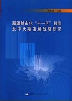 新疆城市化“十一五”规划及中长期发展战略研究