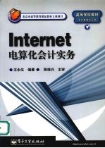 Internet电算化会计实务